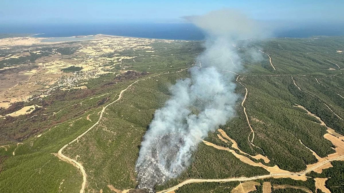 Çanakkale'de Şehitlik ve Conkbayırı yangın sonrası ziyarete kapatıldı